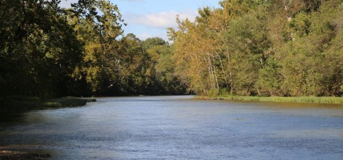 A scene on the Current River