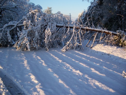 Weather causes many problems, including downed electrical lines
