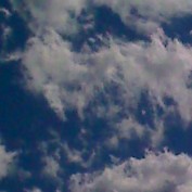 evanescent813 profile image