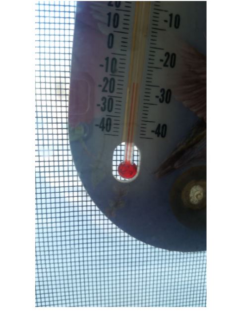 The temperature in my kitchen window, self adjusting with heat from the house perhaps. It's still very cold.