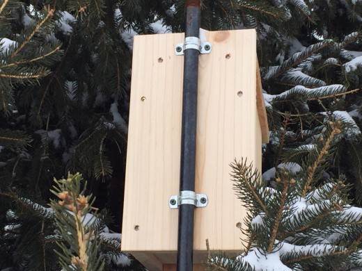 I use half-inch pipe straps for securing the nest box to the iron pipe.