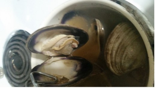 boiled clams