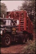 The Horrors of Log Trucks