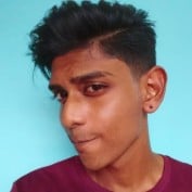 Dinesh Raj S-O Nadaraja profile image