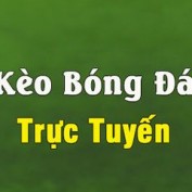 tilecuoc profile image