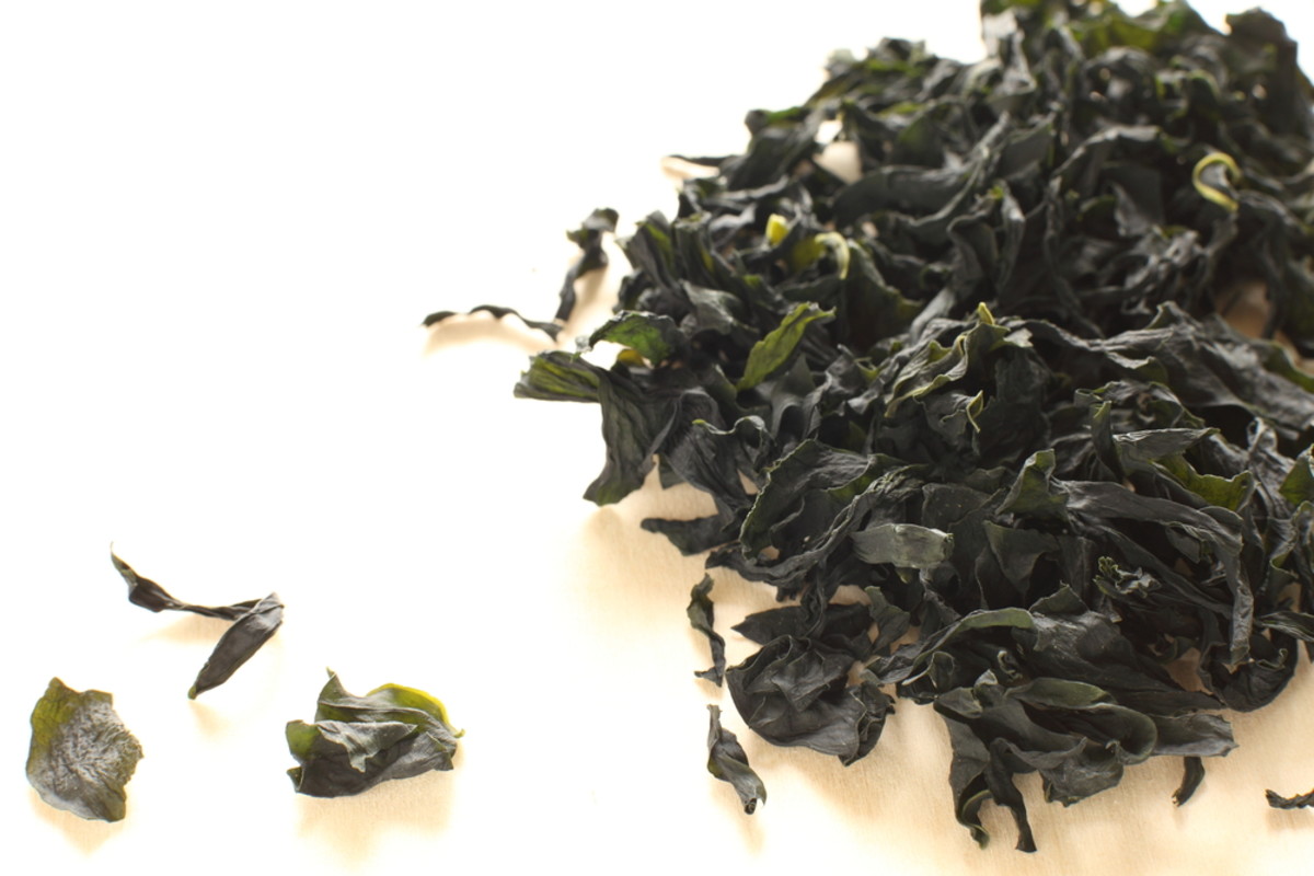 Dried wakame makes for a great add on to any dish its served in and can be found in tide pools during low tide.
