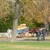 A horse drawn cart, Colonial Williamsburg, November 2014.
