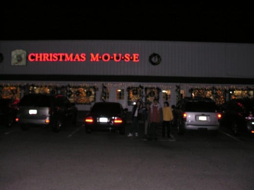 The Christmas Mouse by night, November 2014.