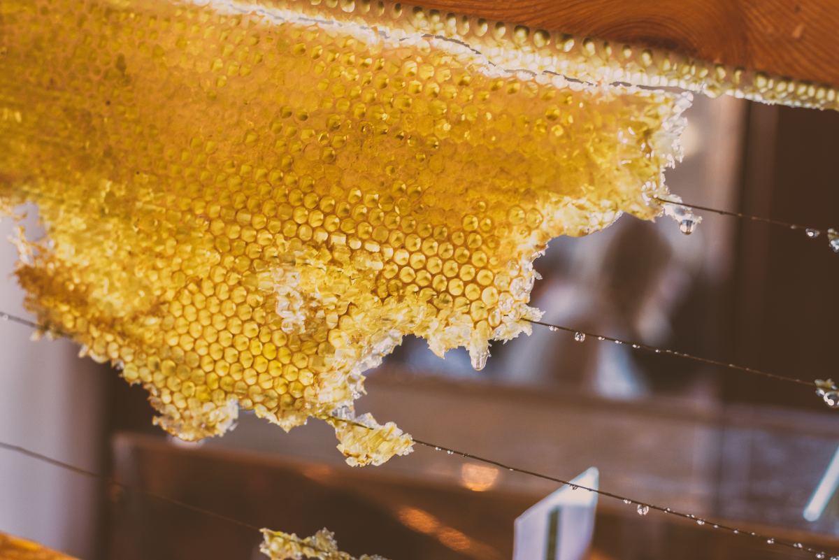Honeycomb Containing Royal Jelly