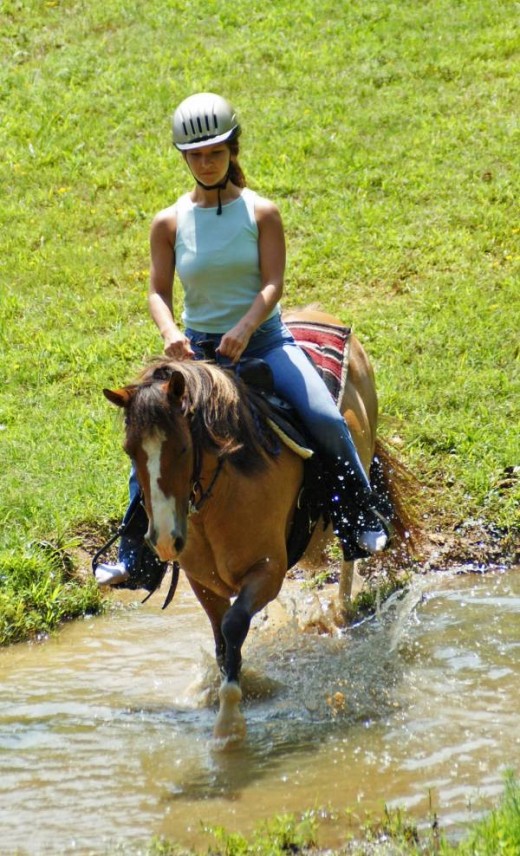 Teach your horse to go through water before the trail ride.