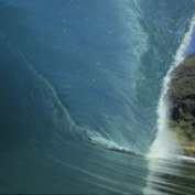 opal11 profile image