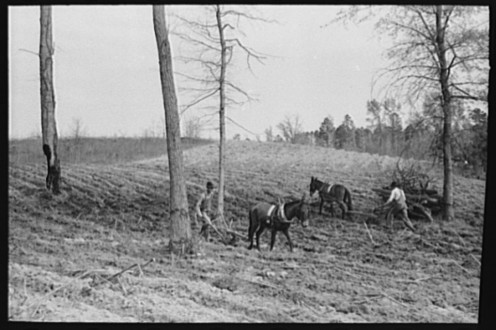 Early spring plowing