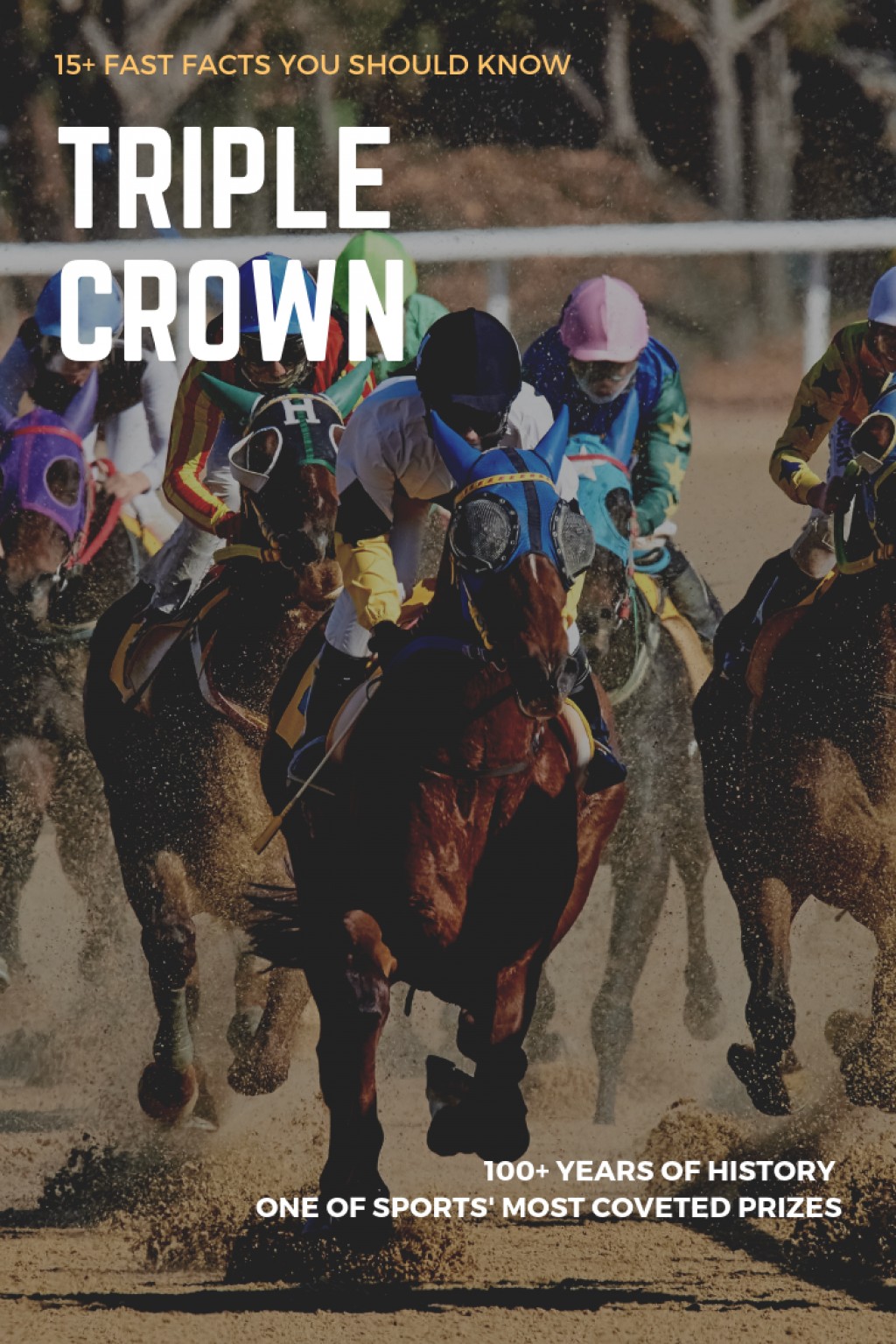 15+ Fast Facts You Should Know About the Triple Crown | HubPages