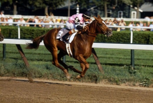 Affirmed, the 1978 Triple Crown winners, is one of only 13 horses to win.