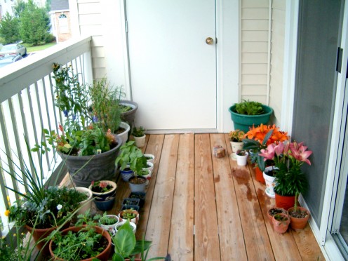 More pots