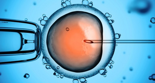 The First Edited Human Embryo
