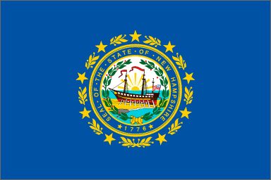 State flag of New Hampshire 
