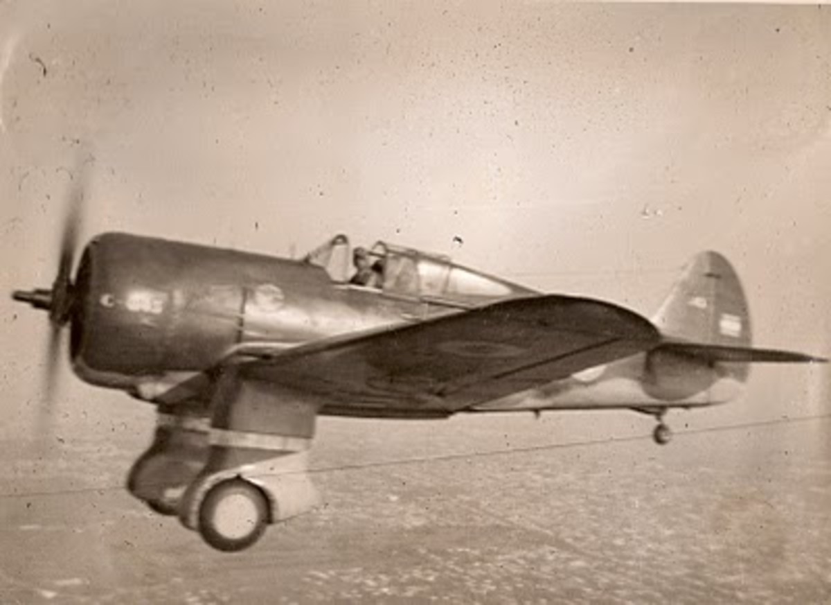A Curtis Hawk 75 of the Argentine Air Force