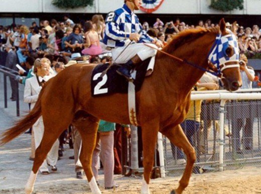 There he is, that is the legendary Secretariat!