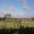 barren lands with scant vegetation barren lands with scant vegetation
