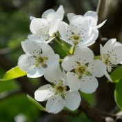 Hubpages-Blog profile image