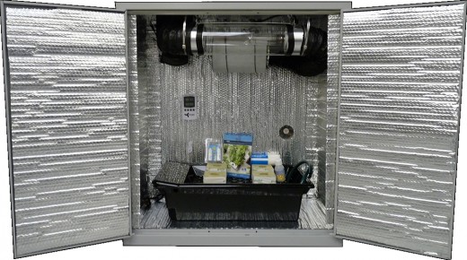 A Semi Automated Grow Box