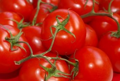 The Benefits of Tomatos