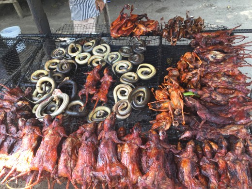 Vietnam – Snake Meat