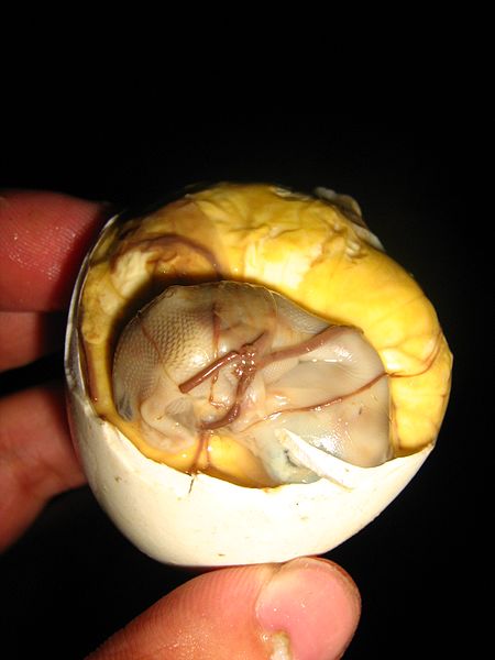 The Philippines – Balut