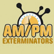 ampmexte01 profile image