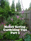 Money Saving Gardening Tips - Part 2