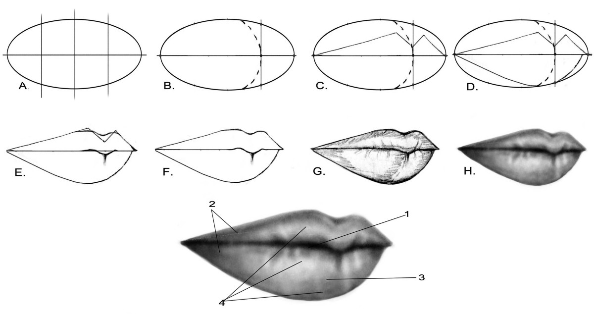 Portrait Drawing for the Ultimate Beginner The Lips