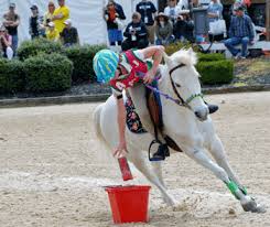 Summer Fun-Planning A Mounted Games Competition | HubPages