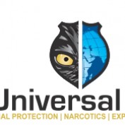 universalk9 profile image