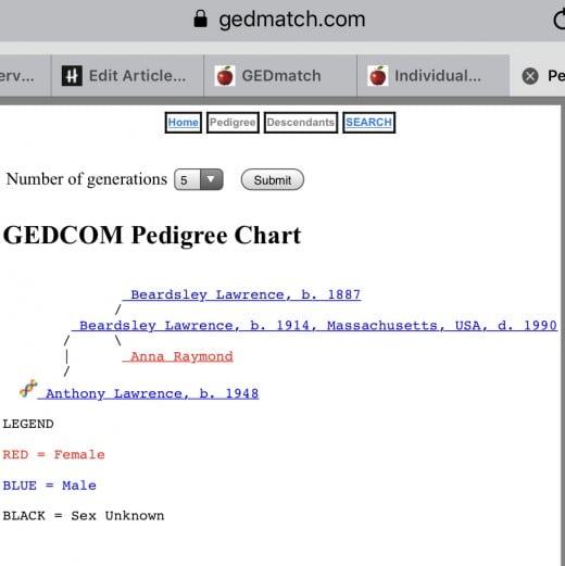 GEDmatch interprets the GEDcom file differently 