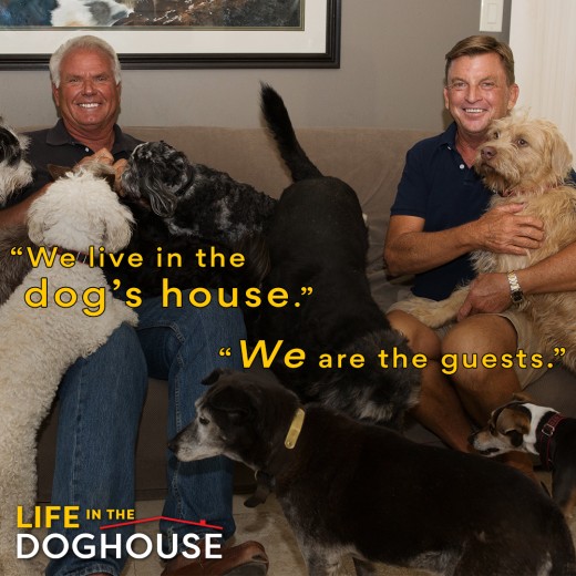 Visit Danny & Ron's Rescue Website and find out more information on how to help save abandoned dogs and adopt 