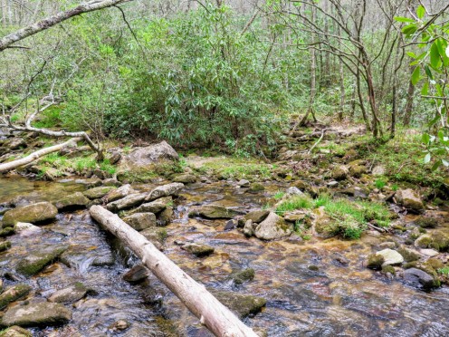 A creek bed that could be crossed