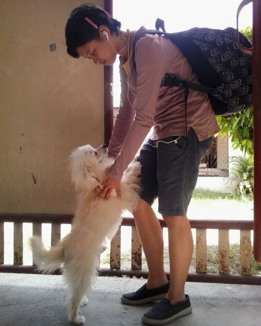 Kujo happily welcomes his owner home after hours of waiting