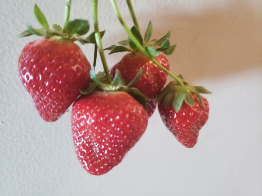Lower your blood pressure and cancer risk by eating strawberries. 