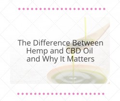 The Difference Between Hemp and CBD Oil and Why It Matters