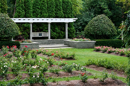 Rose Gardens, Frances Park