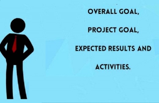 Main Objective of LFA