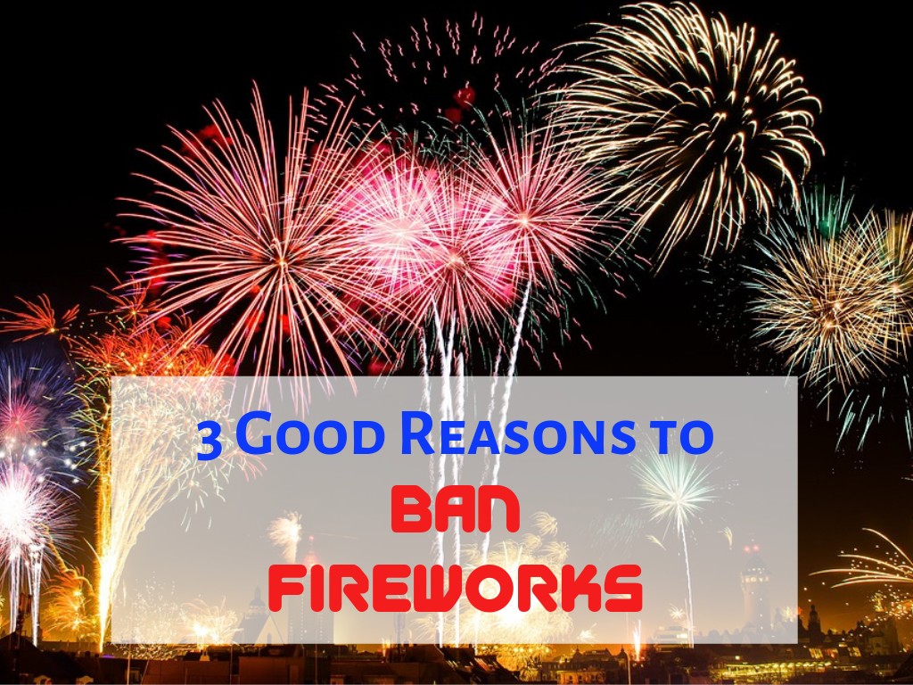 3 Good Reasons to Ban Fireworks in the U.S. Soapboxie