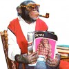 Mangus7 profile image