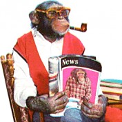 Mangus7 profile image