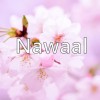 NAWAAL ARIF profile image
