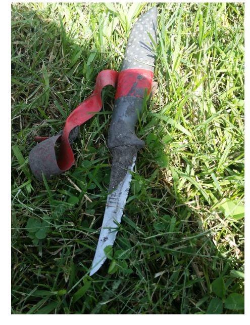 old, serrated steak knife, works perfectly for cutting sod and removing weeds. Red tape is so when I lay it down, I can find it in the grass.