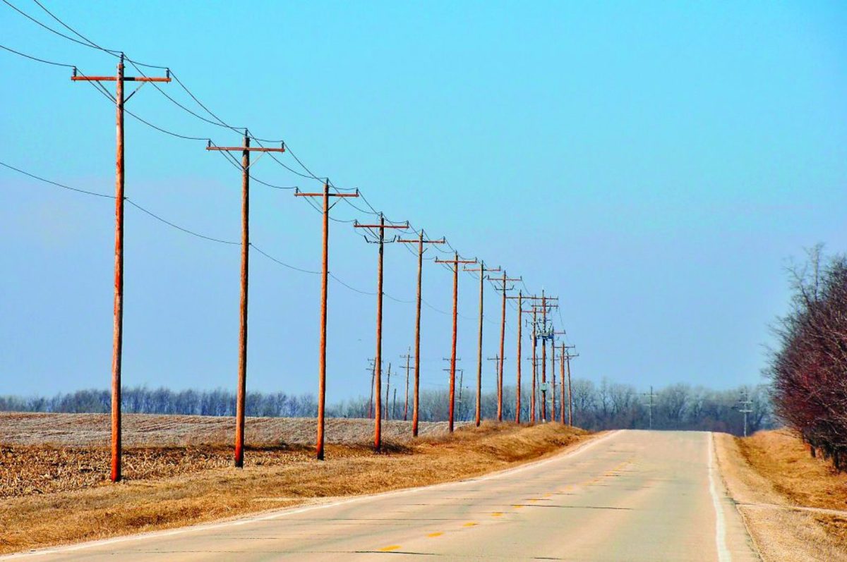 Telephone poles and wires