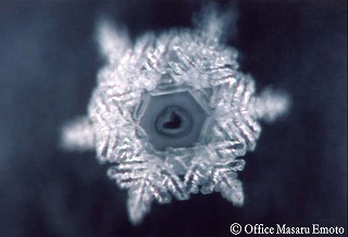 Read about this experiment from the link provided below