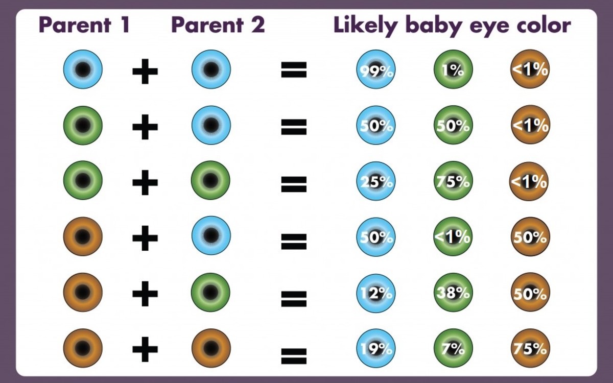 Parent Eye Chart